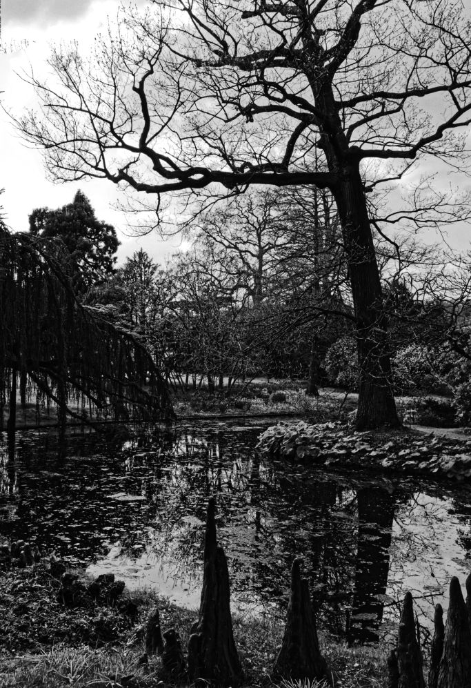 Photographie en noir et blanc réalisée par frédéric vivet web designer et photographe .Thème : paysages naturels  pour yourwebdesign.fr à paris