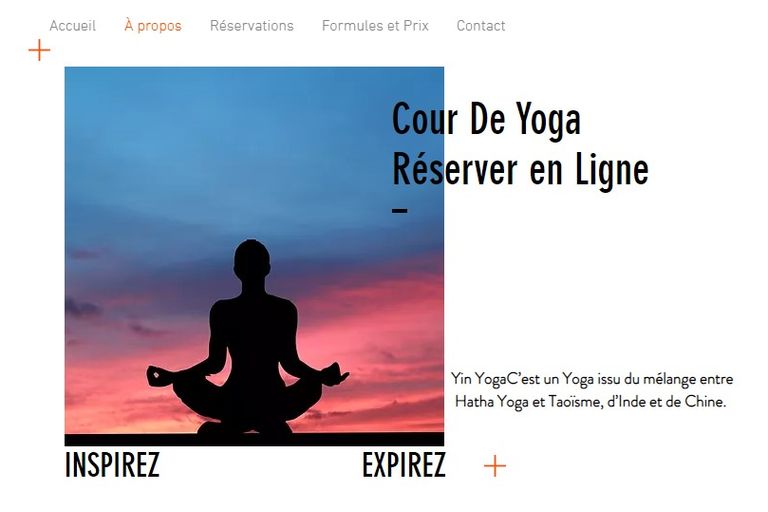 E-boutique pour commencer dessiné par Frédéric vivet web designer et photographe pour l'agence yourwebdesign.fr à Paris